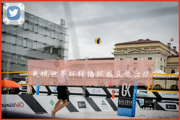 央视世界杯转播权成交价出炉