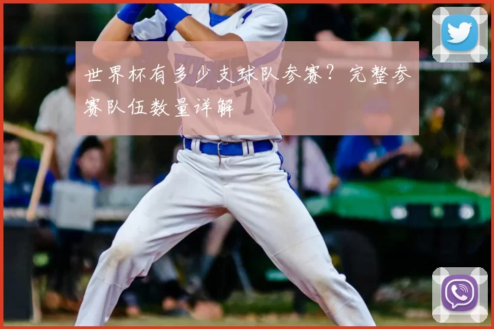世界杯有多少支球队参赛？完整参赛队伍数量详解