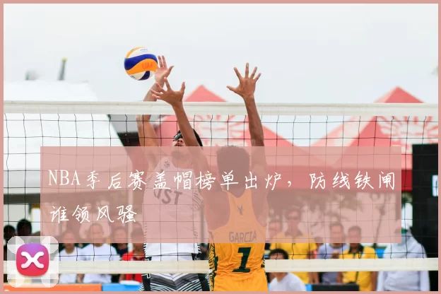 NBA季后赛盖帽榜单出炉,防线铁闸谁领风骚