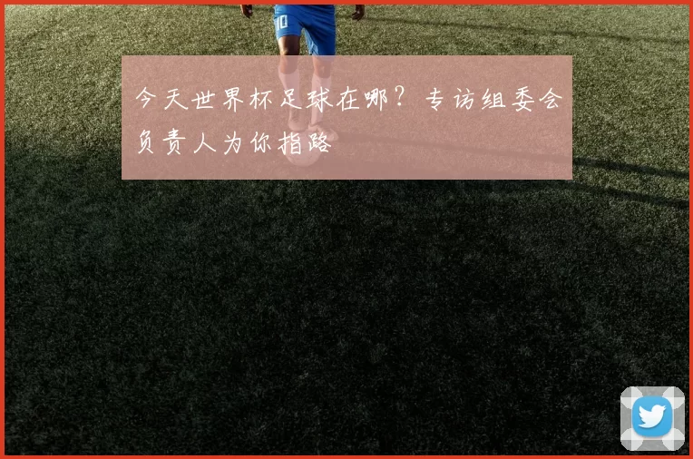 今天世界杯足球在哪？专访组委会负责人为你指路