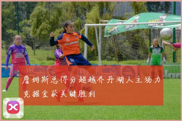 詹姆斯总得分超越乔丹湖人主场力克掘金获关键胜利