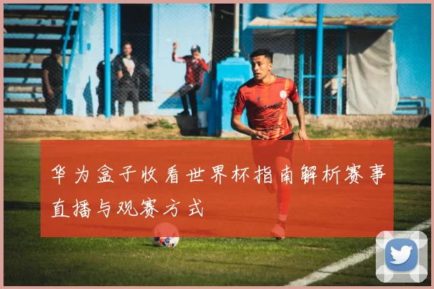 华为盒子收看世界杯指南解析赛事直播与观赛方式