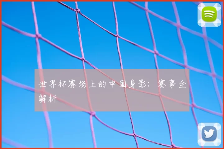 世界杯赛场上的中国身影:赛事全解析