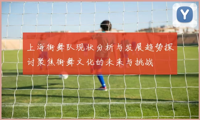 上海街舞队现状分析与发展趋势探讨聚焦街舞文化的未来与挑战