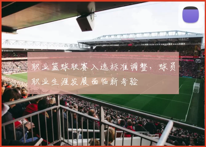 职业篮球联赛入选标准调整,球员职业生涯发展面临新考验