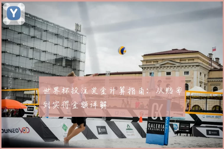 世界杯投注奖金计算指南：从赔率到实得金额详解