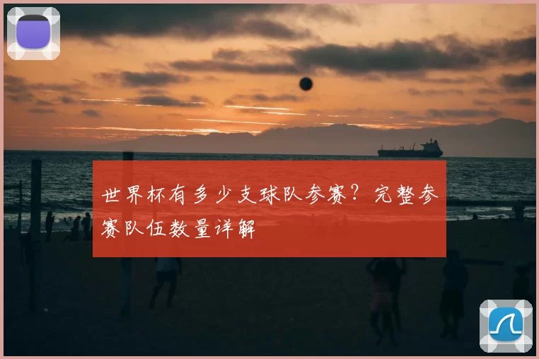 世界杯有多少支球队参赛?完整参赛队伍数量详解