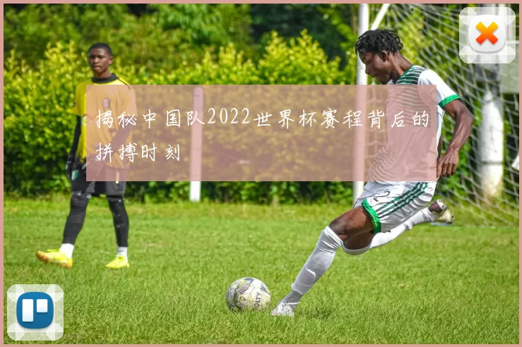 揭秘中国队2022世界杯赛程背后的拼搏时刻