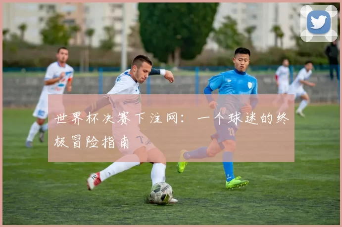 世界杯决赛下注网:一个球迷的终极冒险指南