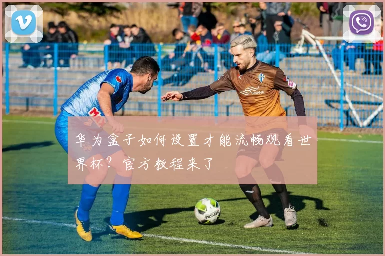 华为盒子如何设置才能流畅观看世界杯?官方教程来了