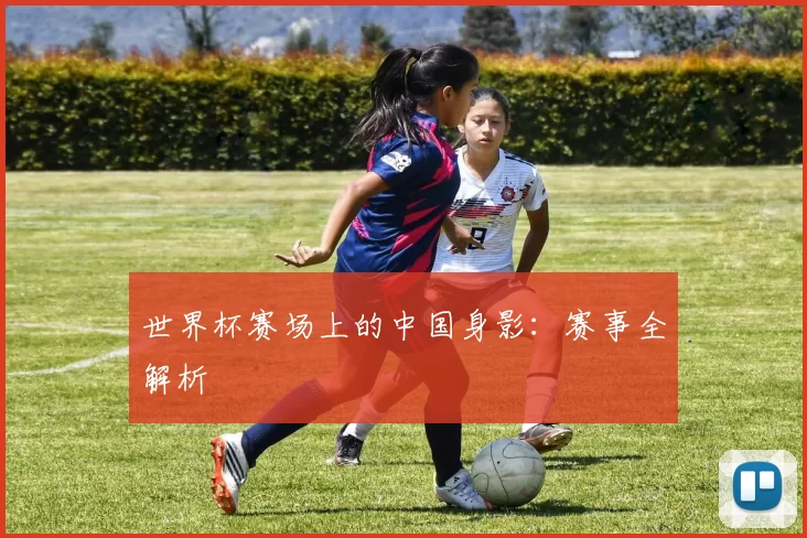 世界杯赛场上的中国身影:赛事全解析