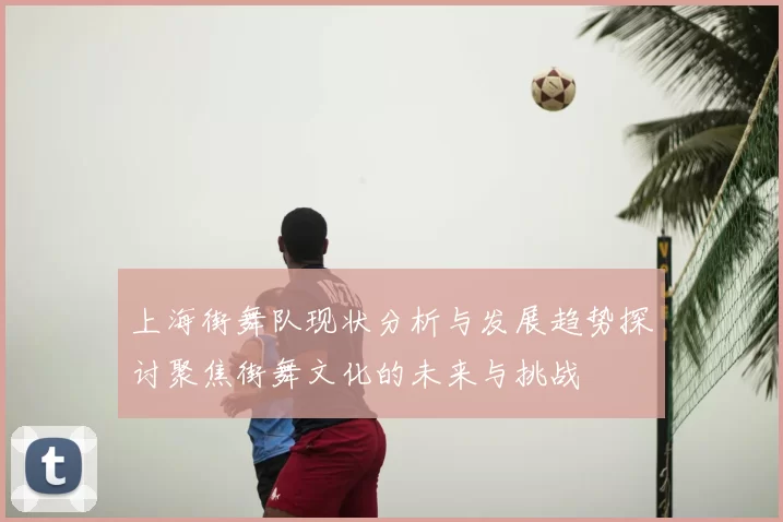 上海街舞队现状分析与发展趋势探讨聚焦街舞文化的未来与挑战