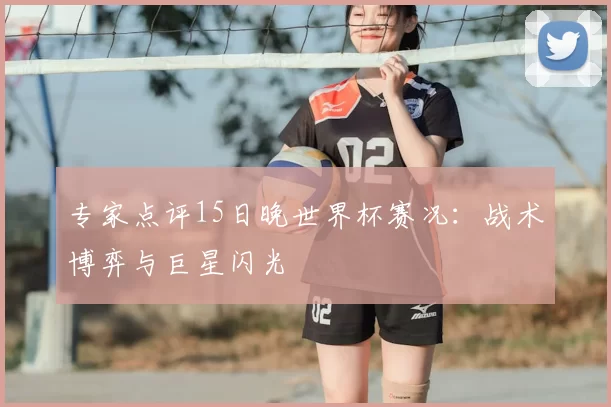 专家点评15日晚世界杯赛况:战术博弈与巨星闪光